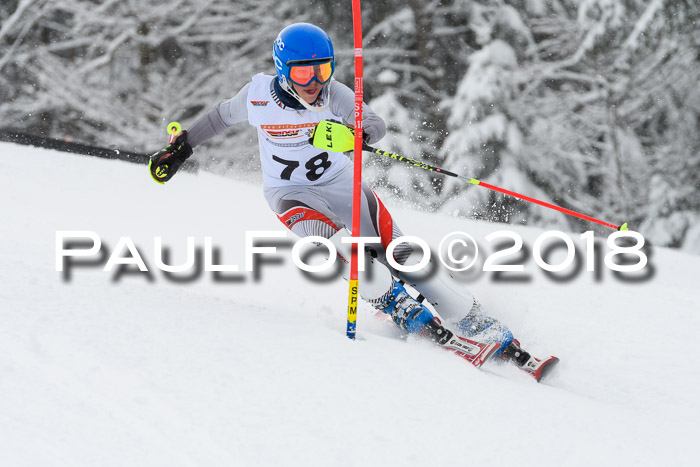 DSV Dt. Schülercup U14 SL 20.01.2018