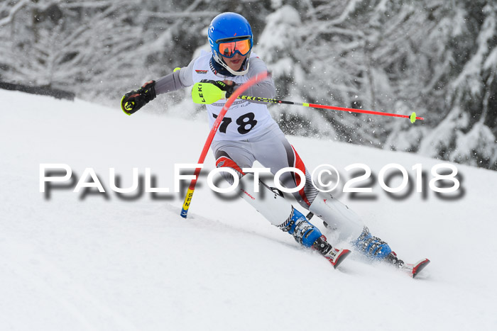 DSV Dt. Schülercup U14 SL 20.01.2018