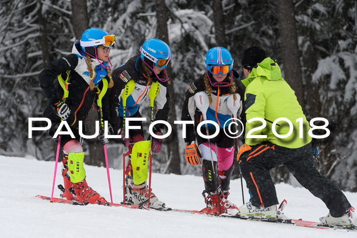 DSV Dt. Schülercup U14 SL 20.01.2018