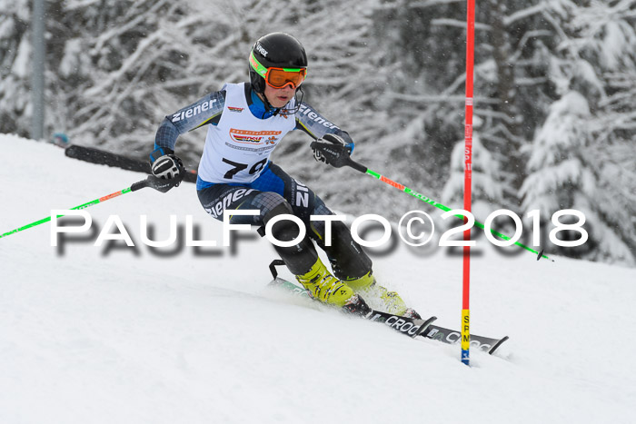 DSV Dt. Schülercup U14 SL 20.01.2018