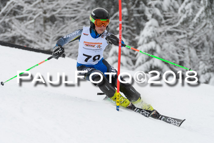 DSV Dt. Schülercup U14 SL 20.01.2018