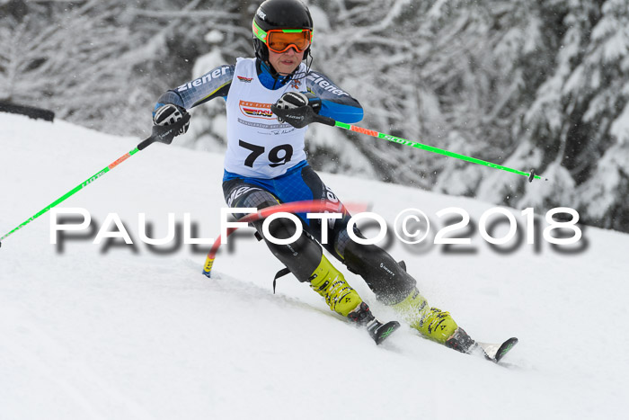 DSV Dt. Schülercup U14 SL 20.01.2018