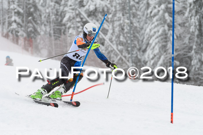 DSV Dt. Schülercup U14 SL 20.01.2018