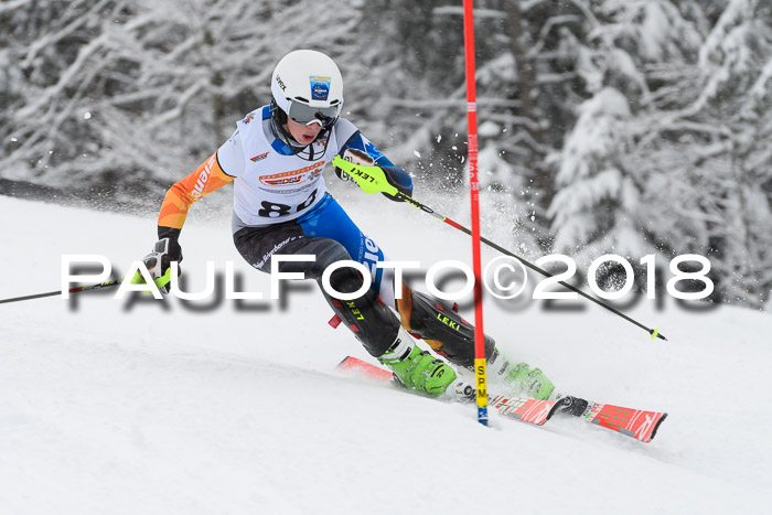 DSV Dt. Schülercup U14 SL 20.01.2018