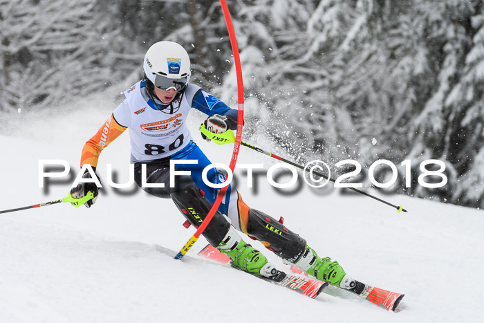 DSV Dt. Schülercup U14 SL 20.01.2018