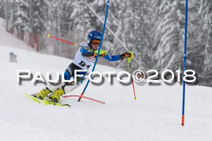 DSV Dt. Schülercup U14 SL 20.01.2018