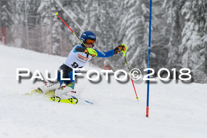 DSV Dt. Schülercup U14 SL 20.01.2018