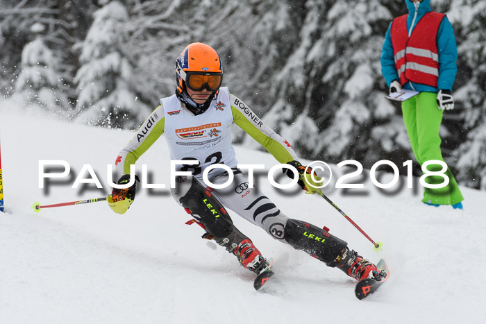 DSV Dt. Schülercup U14 SL 20.01.2018