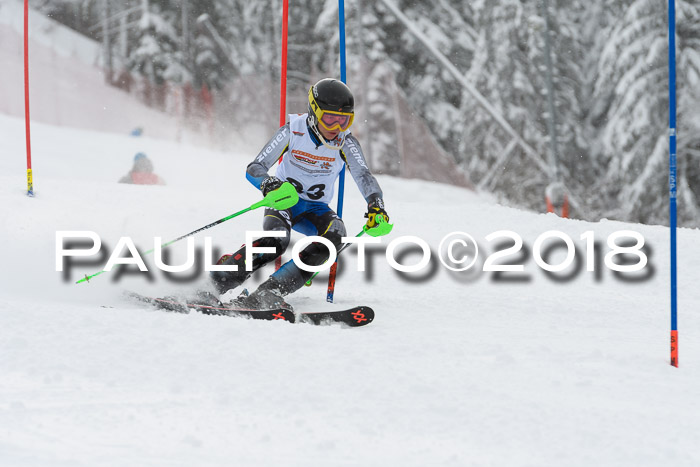 DSV Dt. Schülercup U14 SL 20.01.2018