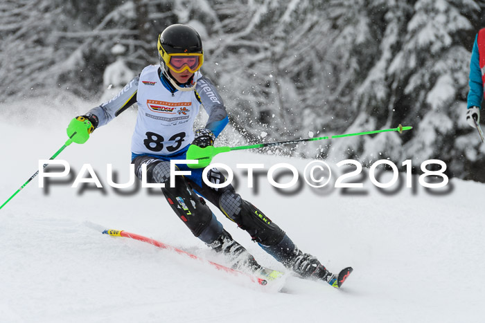 DSV Dt. Schülercup U14 SL 20.01.2018