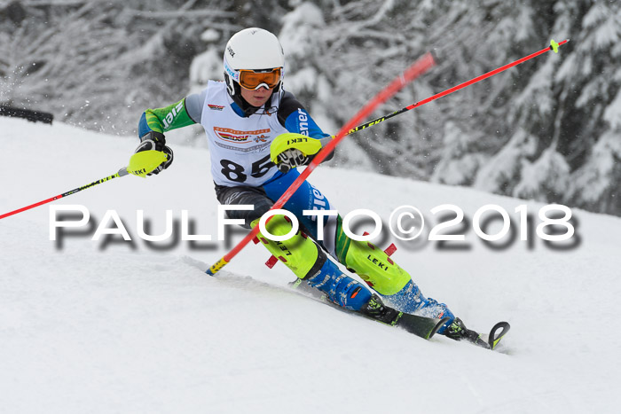 DSV Dt. Schülercup U14 SL 20.01.2018
