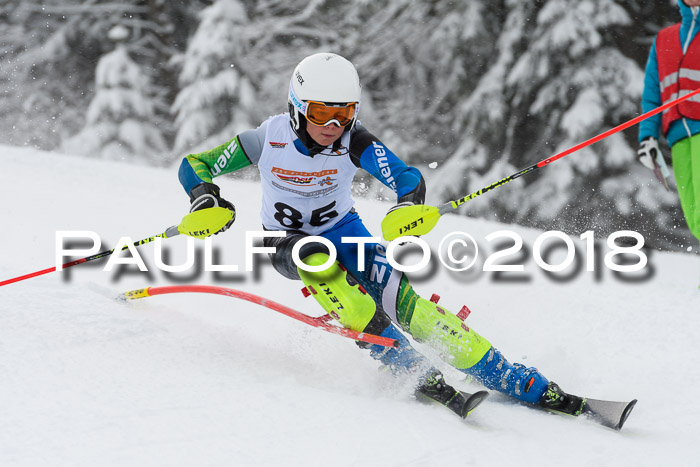 DSV Dt. Schülercup U14 SL 20.01.2018
