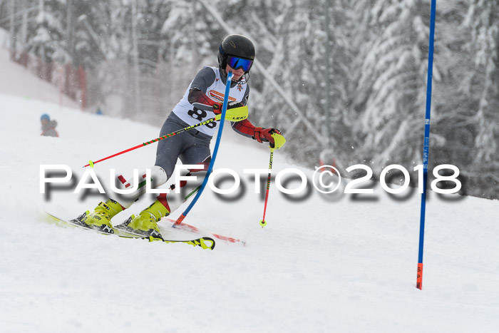 DSV Dt. Schülercup U14 SL 20.01.2018
