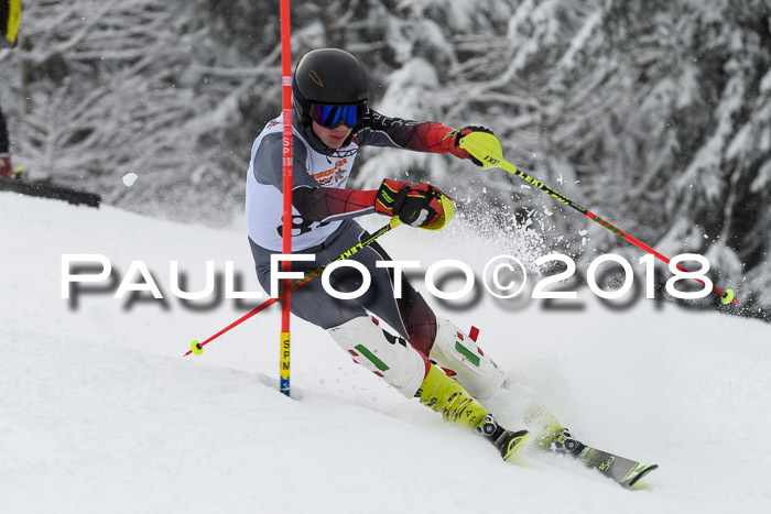 DSV Dt. Schülercup U14 SL 20.01.2018