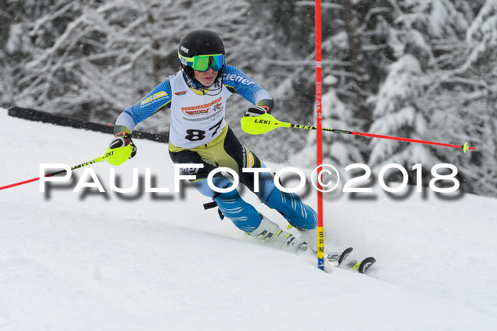 DSV Dt. Schülercup U14 SL 20.01.2018