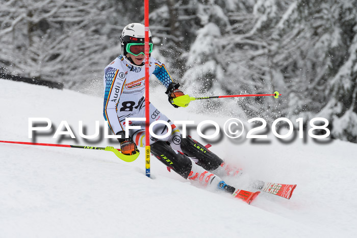 DSV Dt. Schülercup U14 SL 20.01.2018