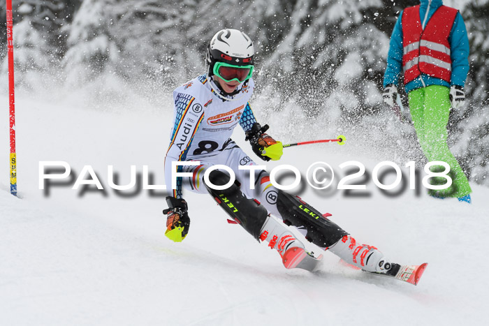 DSV Dt. Schülercup U14 SL 20.01.2018