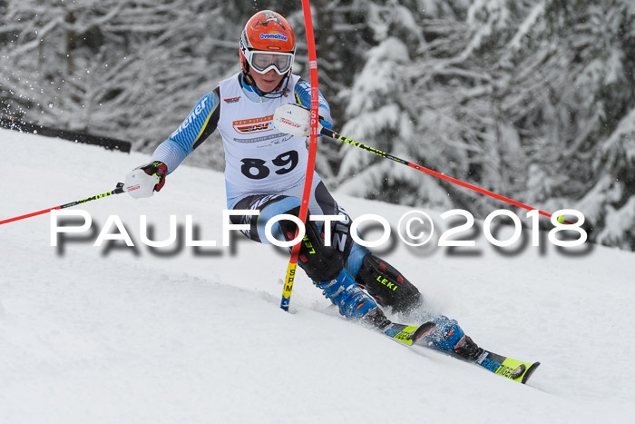 DSV Dt. Schülercup U14 SL 20.01.2018