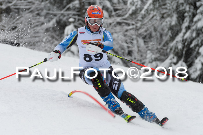 DSV Dt. Schülercup U14 SL 20.01.2018