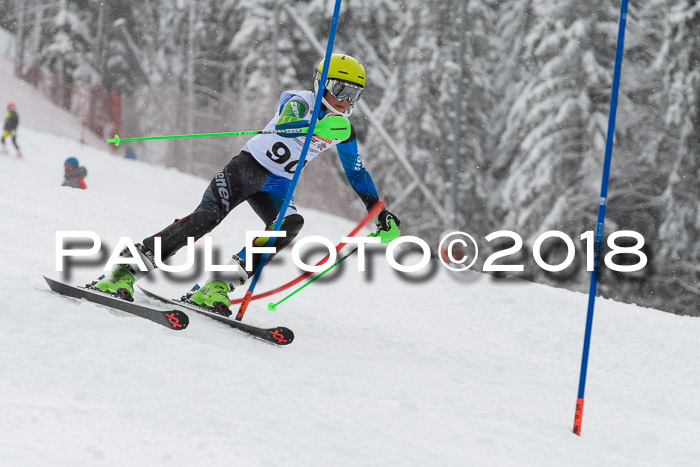 DSV Dt. Schülercup U14 SL 20.01.2018