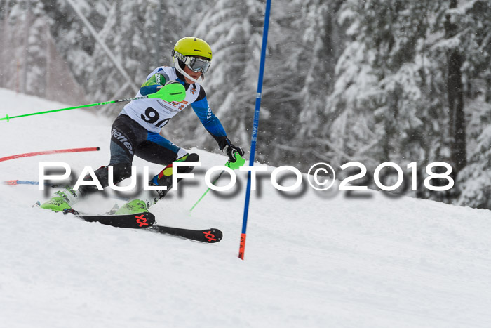 DSV Dt. Schülercup U14 SL 20.01.2018