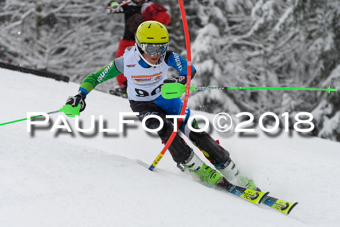 DSV Dt. Schülercup U14 SL 20.01.2018