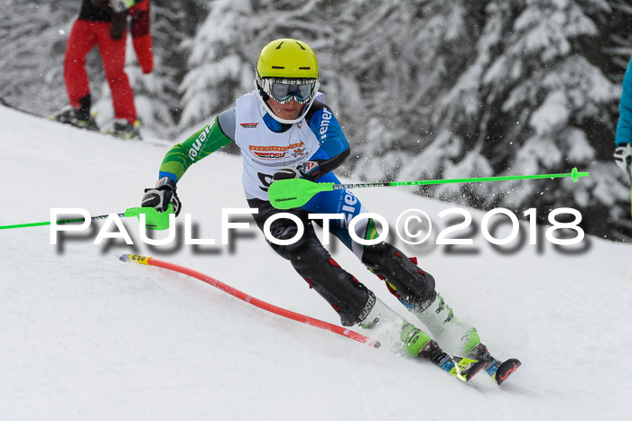 DSV Dt. Schülercup U14 SL 20.01.2018