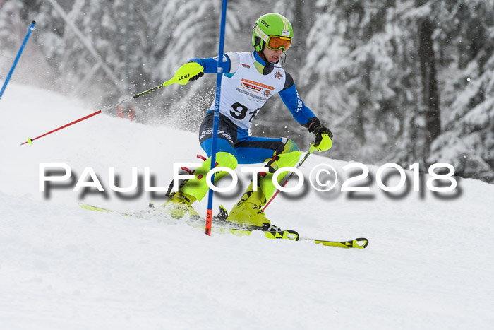 DSV Dt. Schülercup U14 SL 20.01.2018