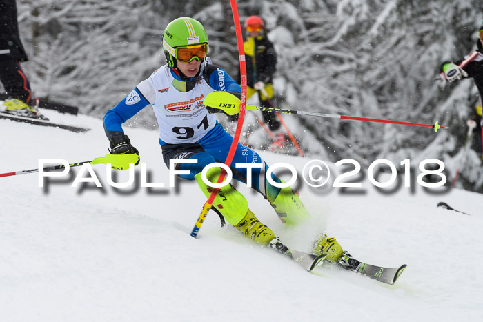 DSV Dt. Schülercup U14 SL 20.01.2018