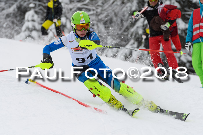 DSV Dt. Schülercup U14 SL 20.01.2018