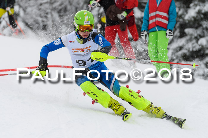 DSV Dt. Schülercup U14 SL 20.01.2018