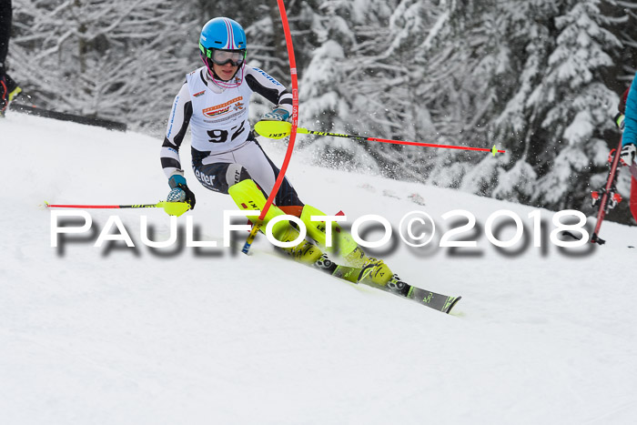 DSV Dt. Schülercup U14 SL 20.01.2018
