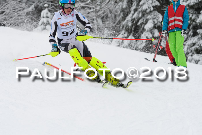 DSV Dt. Schülercup U14 SL 20.01.2018