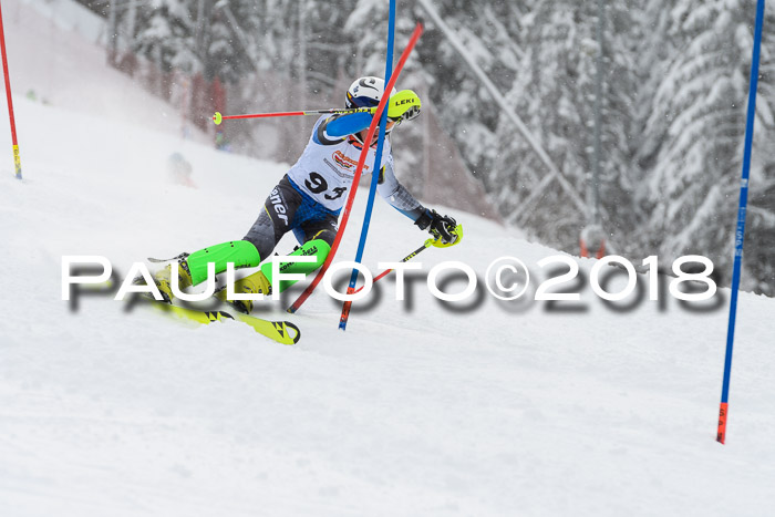DSV Dt. Schülercup U14 SL 20.01.2018
