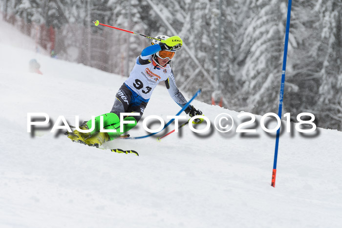 DSV Dt. Schülercup U14 SL 20.01.2018