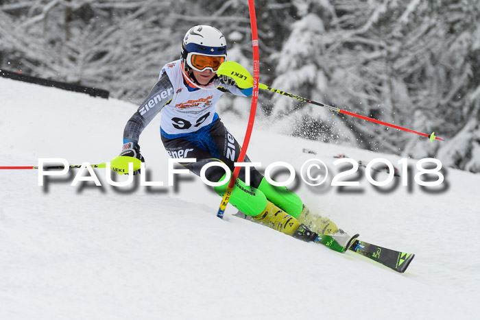 DSV Dt. Schülercup U14 SL 20.01.2018