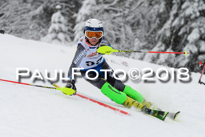 DSV Dt. Schülercup U14 SL 20.01.2018