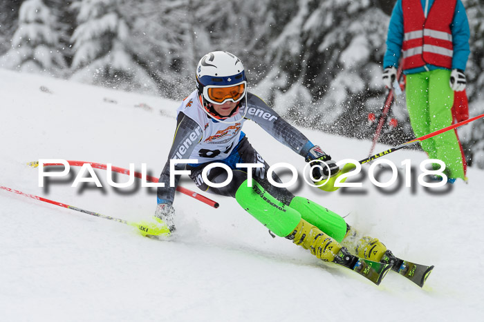 DSV Dt. Schülercup U14 SL 20.01.2018