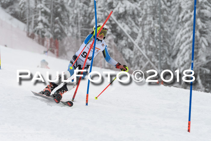 DSV Dt. Schülercup U14 SL 20.01.2018