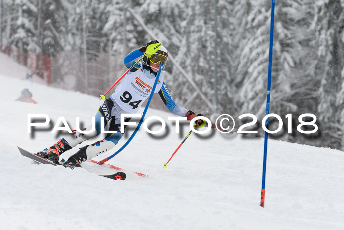 DSV Dt. Schülercup U14 SL 20.01.2018