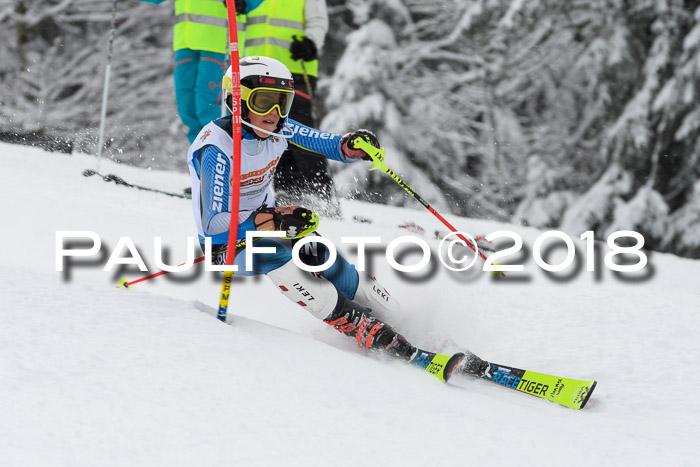 DSV Dt. Schülercup U14 SL 20.01.2018