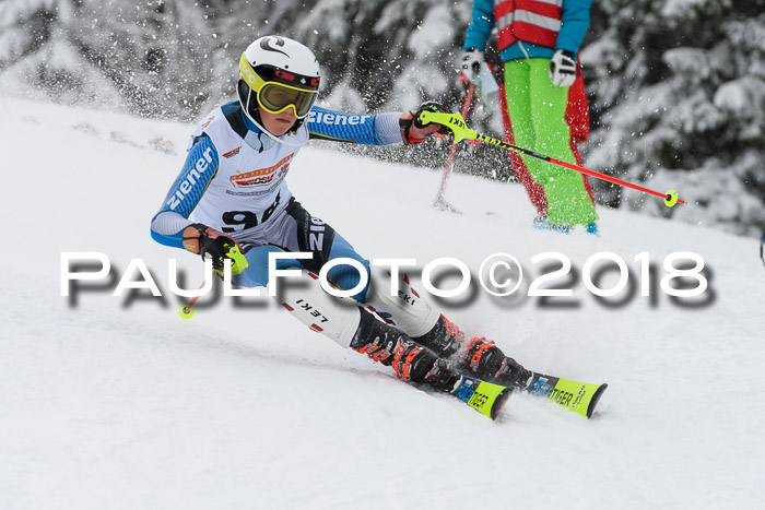 DSV Dt. Schülercup U14 SL 20.01.2018