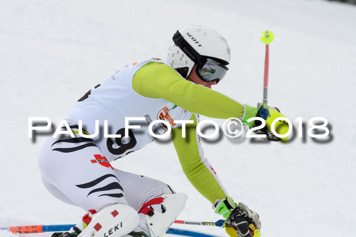 DSV Dt. Schülercup U14 SL 20.01.2018