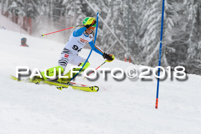DSV Dt. Schülercup U14 SL 20.01.2018
