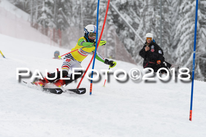 DSV Dt. Schülercup U14 SL 20.01.2018