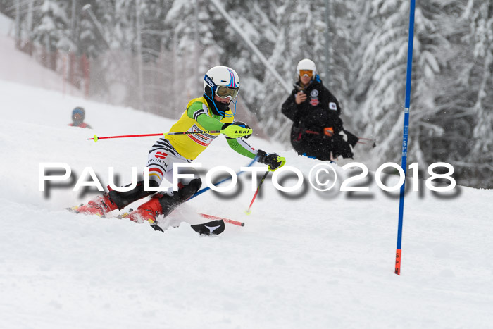 DSV Dt. Schülercup U14 SL 20.01.2018