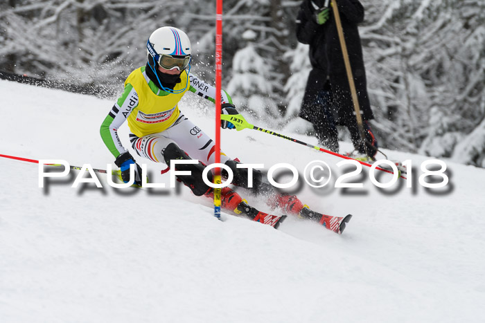 DSV Dt. Schülercup U14 SL 20.01.2018