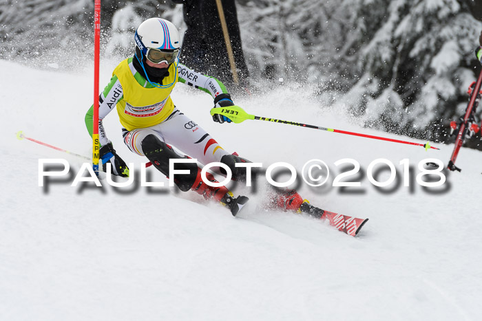 DSV Dt. Schülercup U14 SL 20.01.2018