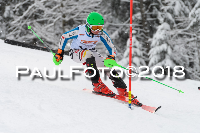 DSV Dt. Schülercup U14 SL 20.01.2018