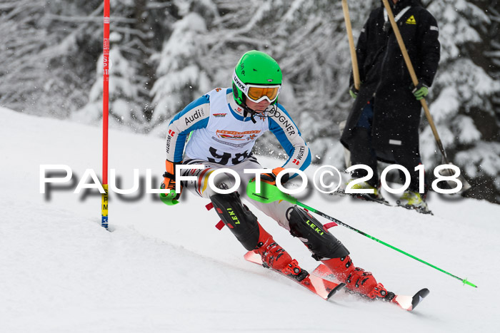 DSV Dt. Schülercup U14 SL 20.01.2018